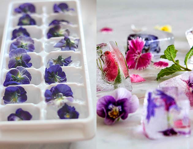 cubos de hielo con flores